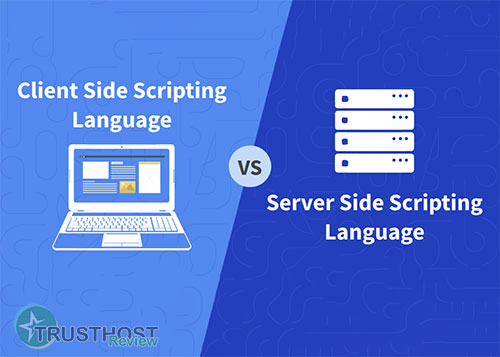 Client-Side Scripting: Enhancing User Experience on the Web