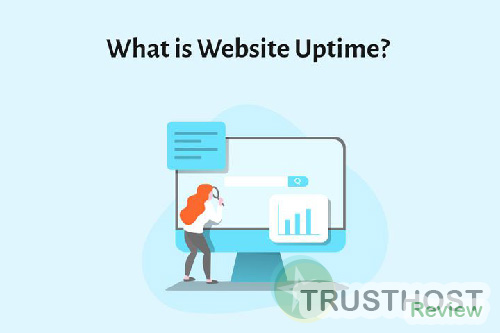 Why Website Uptime Matters (And How We Test It)
