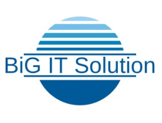 BiG iT Solution Logo