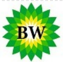Bits World SRL Logo