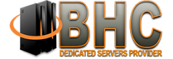 Bliss Hosting Company Logo