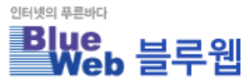 Blue Web Logo