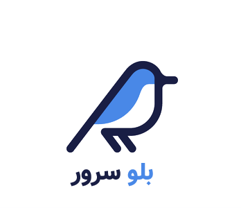 Blueserver Logo