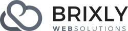 Brixly Web Solutions Logo