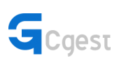 Cgest Logo