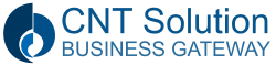 CNT Solution Logo