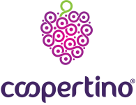 Coopertino Logo