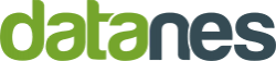 datanes Logo