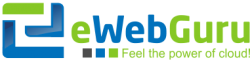 eWebGuru Logo