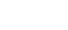 Feinix Logo