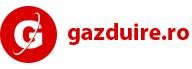 Gazduire Web SRL Logo