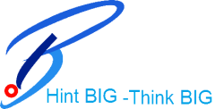 Hint BIG Logo
