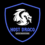 Host Draco Logo