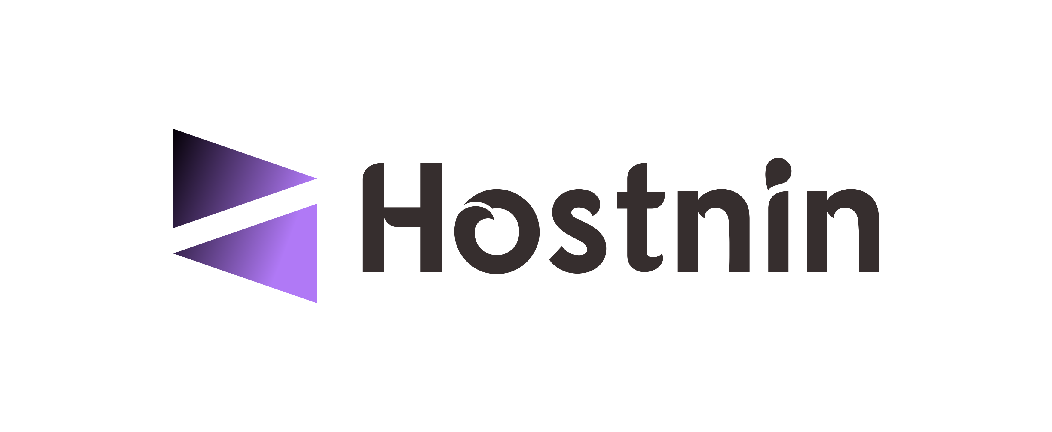 Hostnin Logo