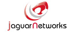 jaguarnetworks Logo