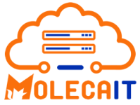 Moleca IT Logo