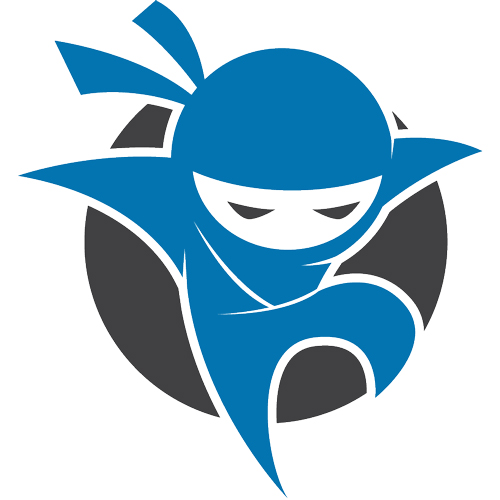 Net Ninjas Logo