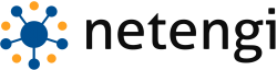 NetEngi Logo