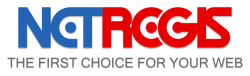 NetRegis Logo