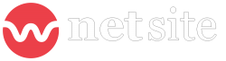 Netsite Logo