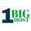 ONEBIGHOST LLC Logo