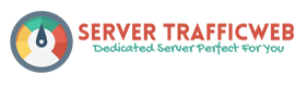ServerTrafficweb Logo