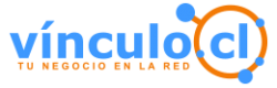 Vinculo.cl Logo