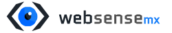 Websense MX